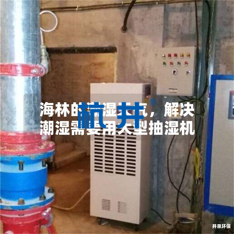 海林的潮濕天氣，解決潮濕需要用大型抽濕機