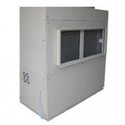 CFTZF100實(shí)驗(yàn)室調(diào)溫除濕空調(diào)機(jī)