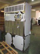 風冷管道CGTZF系列 藥品庫房管道調溫除濕空調機