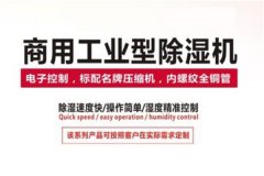 上海工業除濕機哪個牌子好？