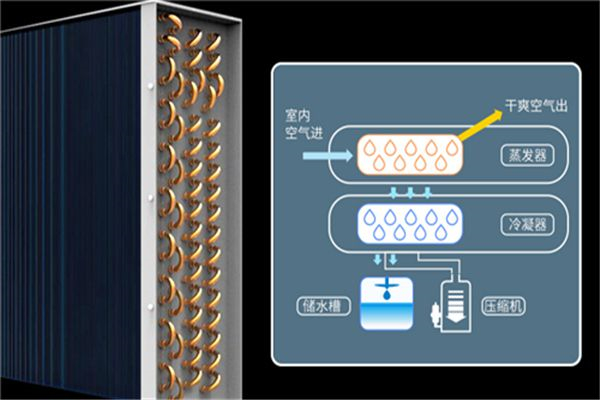 除濕機廠家_全自動除濕機廠家_除濕機廠家報價